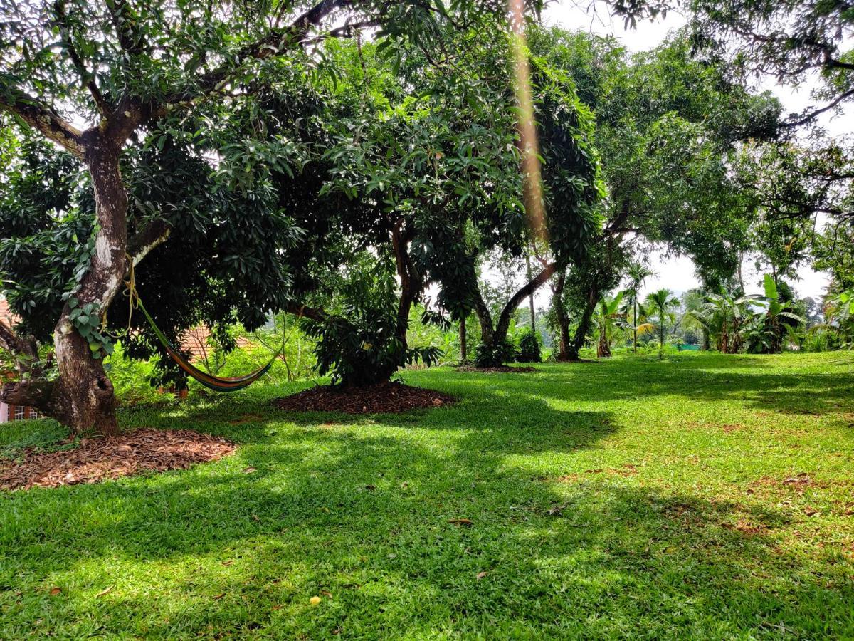 Carmel Tourism Village Kotamangalam Экстерьер фото