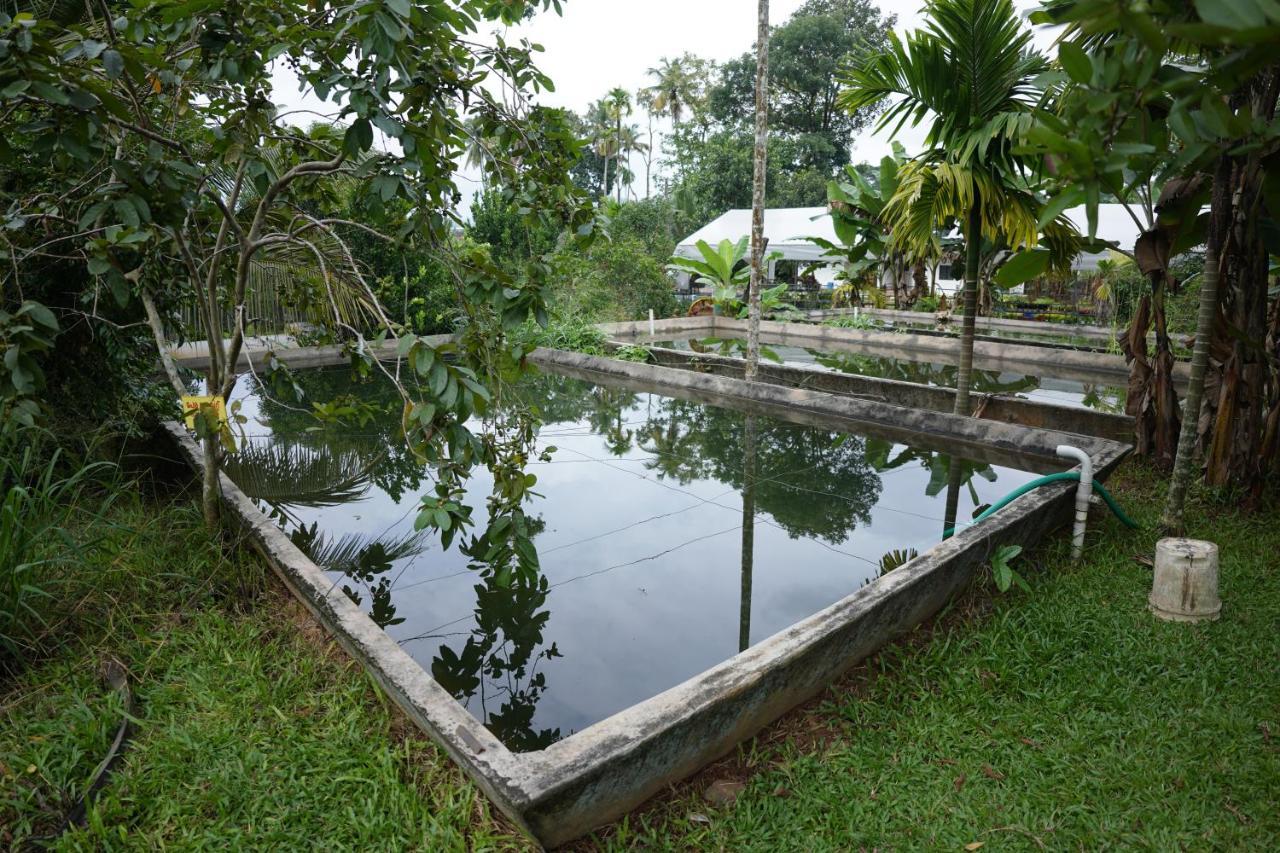 Carmel Tourism Village Kotamangalam Экстерьер фото